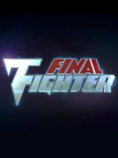 Final Fighter cover art