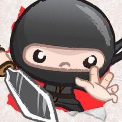 Paper Ninja cover art