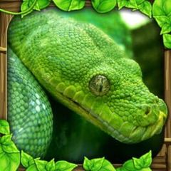 Snake Simulator cover art