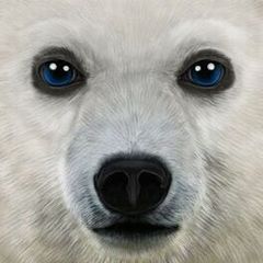 Ultimate Arctic Simulator cover art