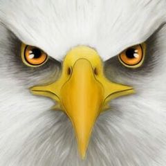 Ultimate Bird Simulator cover art