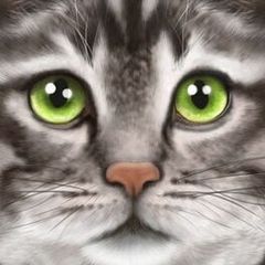 Ultimate Cat Simulator cover art