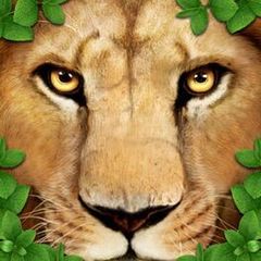 Ultimate Lion Simulator cover art