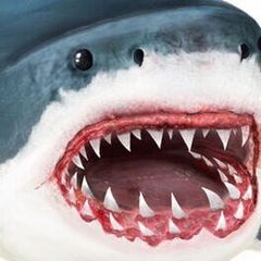 Ultimate Shark Simulator cover art