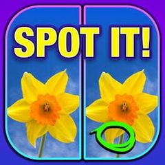 What's the Difference? Spot It cover art