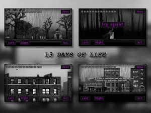 13 Days of Life screenshot 2