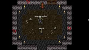 9th Dawn screenshot 1