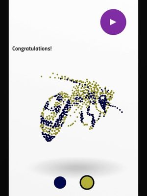 Anamorph screenshot 1