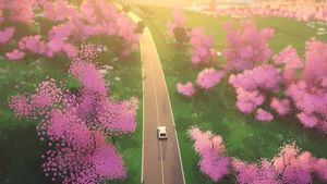 Art of Rally screenshot 2