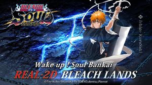 Bleach: Soul Bankai screenshot 1