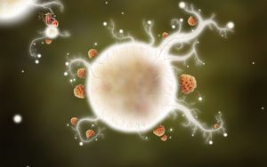 Botanicula screenshot 4