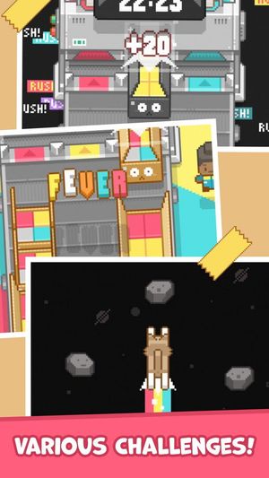 Box It Up! Inc. screenshot 3