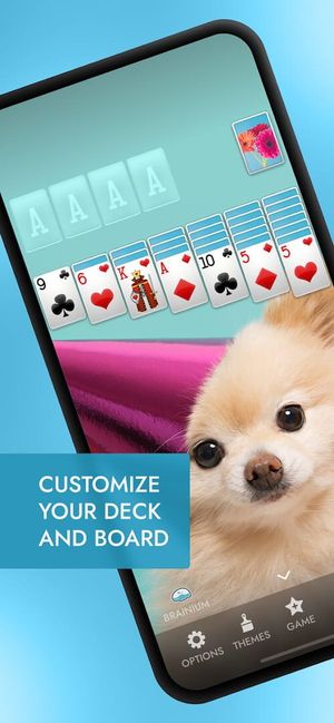 Brainium Solitaire screenshot 4