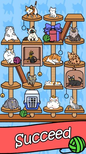 Cat Condo screenshot 1