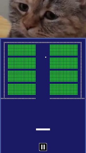 Chipi Chapa: Brick Breaker screenshot 1
