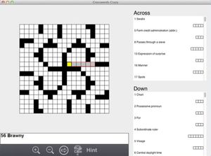 Crosswords Crazy! screenshot 3