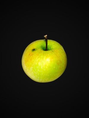 Eat: The Revolution screenshot 1