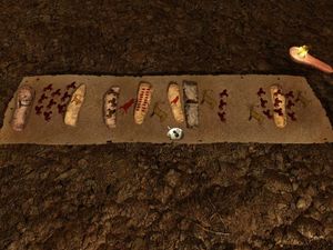 Echo: Secrets of the Lost Cavern screenshot 1