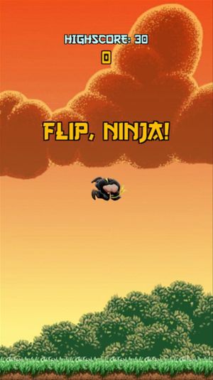 Flippin Ninjas screenshot 2
