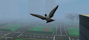 Fly Like a Bird 3 screenshot 1