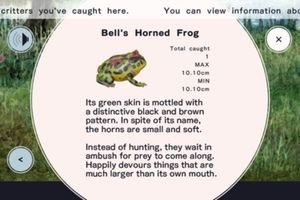 Frog Minutes screenshot 1