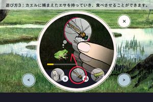 Frog Minutes screenshot 2
