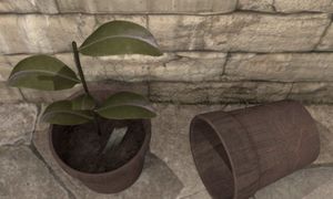 Garden screenshot 1