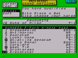 Grand National screenshot 3