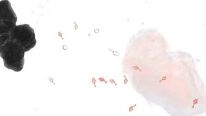 Guppy screenshot 1