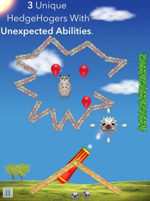 HedgeHogers screenshot 3