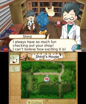 Hometown Story screenshot 2