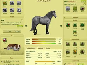 Howrse screenshot 3