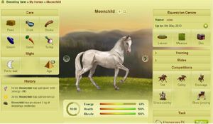 Howrse screenshot 4