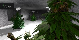 iGrow Game screenshot 2