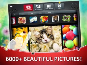 Jigsaw Puzzle Collection HD screenshot 3