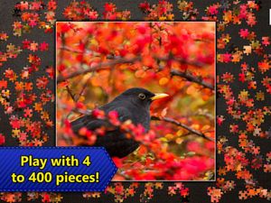 Jigsaw Puzzles Epic screenshot 2