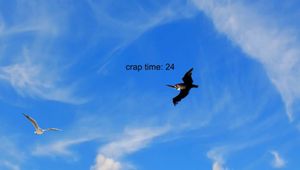 Kai's Bird Game, by Kai screenshot 2