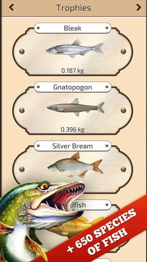 Let's Fish screenshot 1