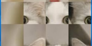 Meong Puzzel screenshot 2
