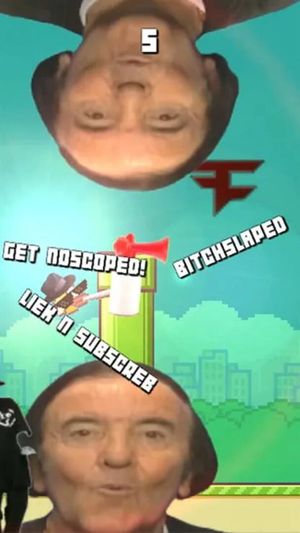 MLG Flappy Bird 420 screenshot 2
