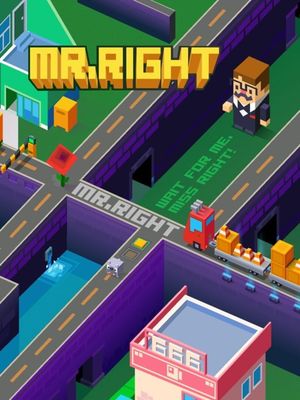 Mr. Right screenshot 4