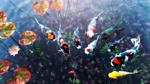 My Koi screenshot 4