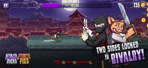Ninja Ducks vs Pirate Pigs screenshot 1