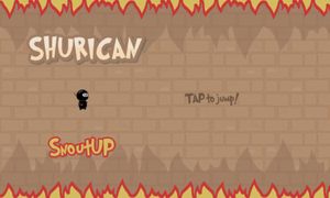 Ninja Shurican screenshot 2
