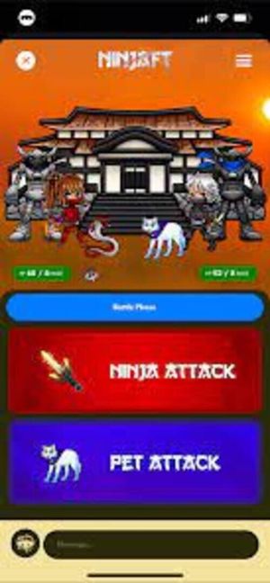 NinjaFT screenshot 1