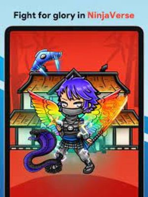 NinjaFT screenshot 2