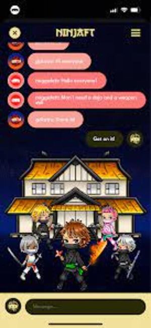 NinjaFT screenshot 4