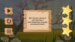 Owls screenshot 3