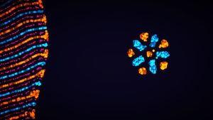 Parametric Creature: Lab screenshot 1