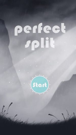 Perfect Split screenshot 1